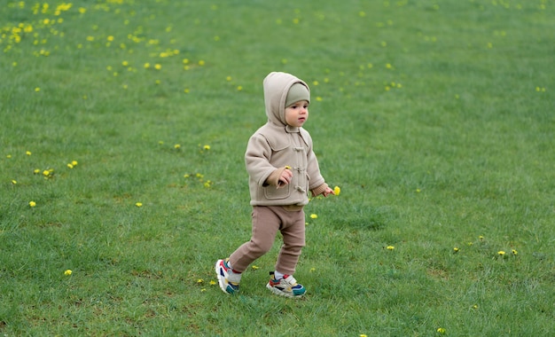 芝生の上を歩く愛らしい赤ちゃん