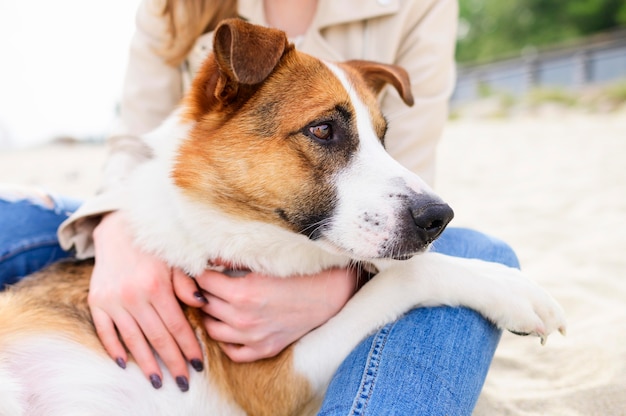 自然の中で時間を楽しむ愛らしい犬