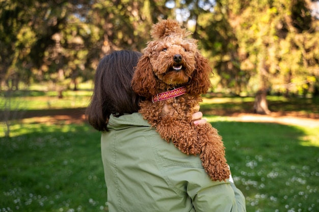 Прелестная собака в парке на природе с владельцем