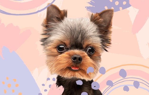 Adorable dog with abstract colorful graphic background