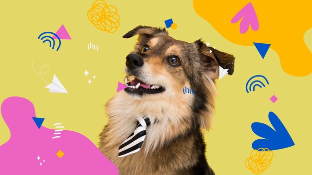 Adorable dog with abstract colorful graphic background