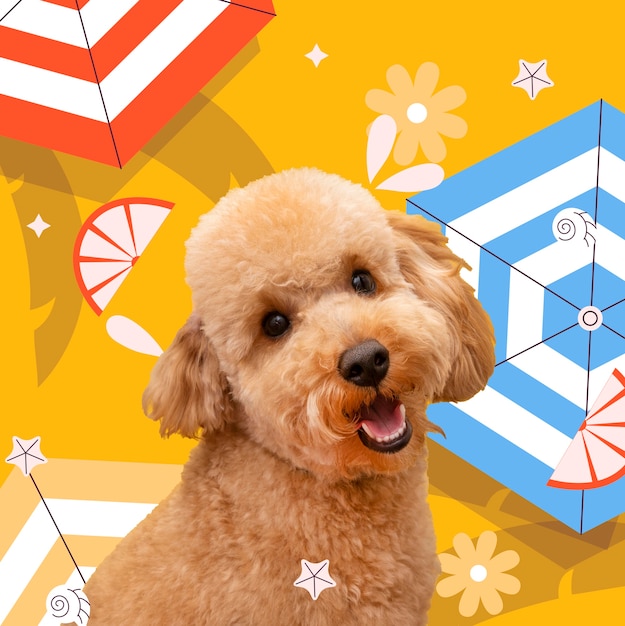 Free photo adorable dog with abstract colorful graphic background