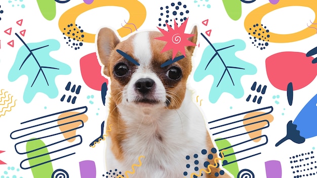 Adorable dog with abstract colorful graphic background