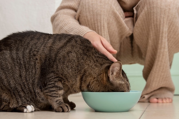 Foto gratuita adorabile gattino che mangia accanto al suo proprietario