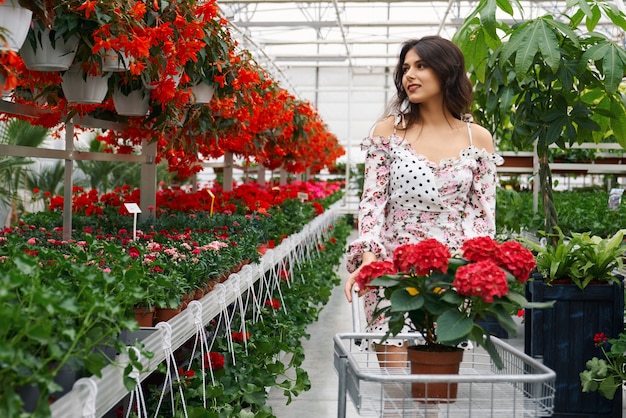 Adorable lady choosing flowers at greenhouse