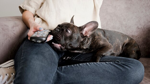 Adorable little doggie with his owner