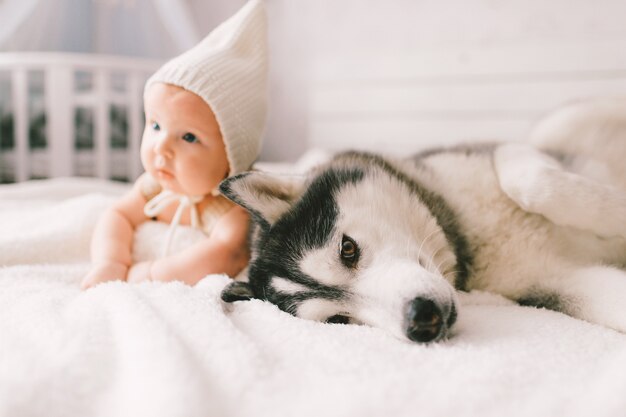 Premium Photo Adorable Lovely Newborn Baby Lying On White Bed With Beautiful Husky
