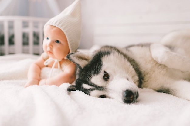 Premium Photo Adorable Lovely Newborn Baby Lying On White Bed With Beautiful Husky Premium Photo Adorable Lovely Newborn Baby Lying On White Bed With Beautiful Husky