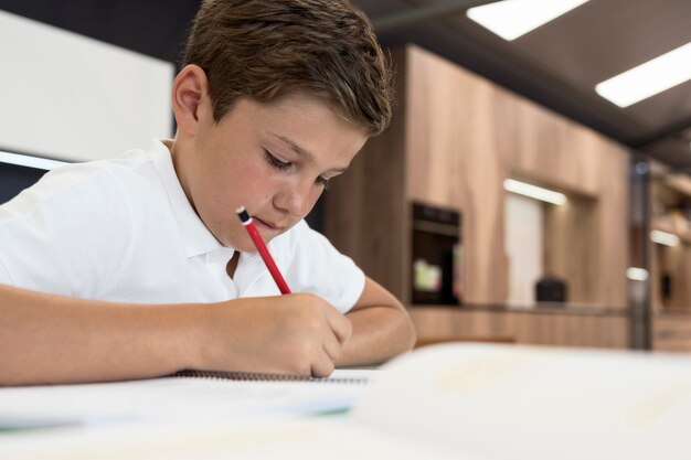 Adorable young boy doing his homework