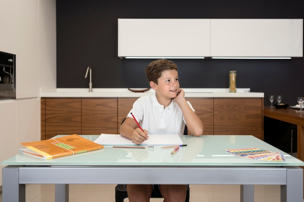 Adorable young boy doing homework