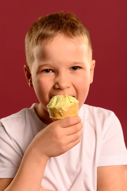 Adorable young boy eating delicious ice cream