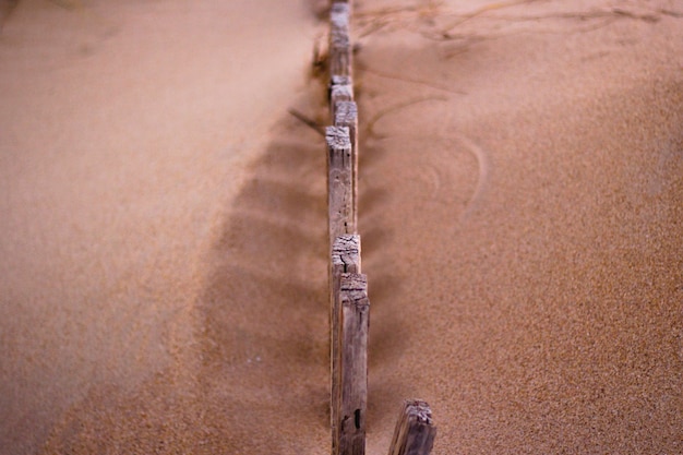 Adventure in the dune