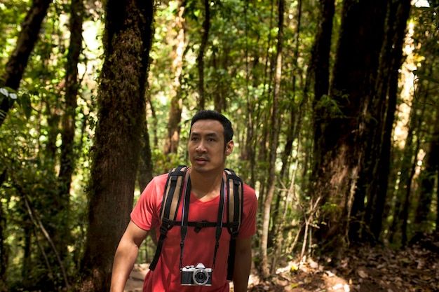 Free photo adventurous hiker in forest