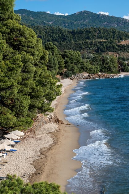 ギリシャのエーゲ海の海岸、木々や茂みが生えている岩だらけの丘、波のあるビーチ、サンベッドのある傘