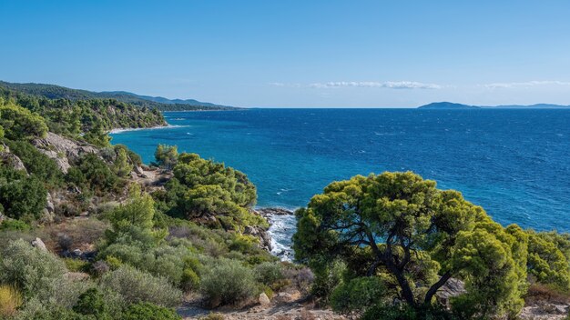 ギリシャのエーゲ海沿岸、木々や茂みが生い茂る岩だらけの丘、広大な水