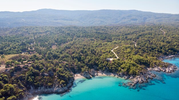 Побережье Эгейского моря с голубой прозрачной водой, зеленью вокруг, скалами, кустами и деревьями, вид с дрона, Греция