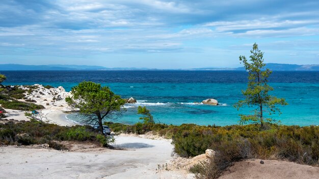 周りに緑、岩や茂み、波のある青い水、ギリシャのエーゲ海の海岸