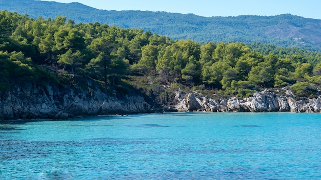 周りの緑、岩、茂みや木々、青い水、ギリシャのエーゲ海の海岸