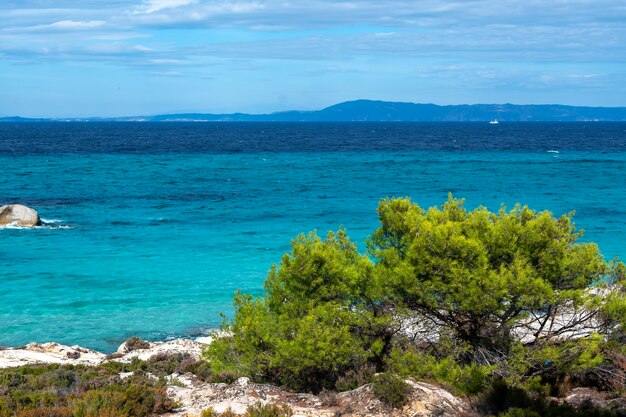 주변의 녹지, 바위, 관목 및 나무, 파도가있는 푸른 물, 그리스가있는에게 해 해안