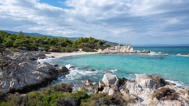 Побережье Эгейского моря с зеленью вокруг, скалы, кусты и деревья, голубая вода с волнами, Греция