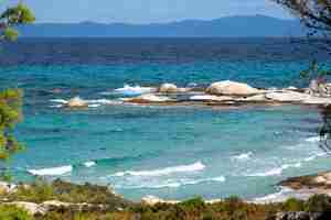 Foto gratuita costa del mar egeo con vegetazione intorno, rocce e alberi, acqua blu con onde, grecia