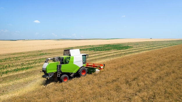 Free photo aerial drone view of the harvester gathering crops