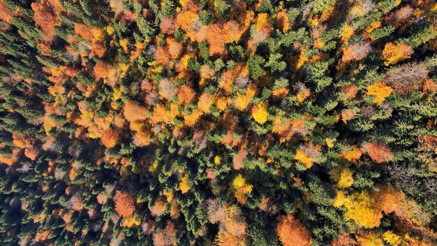 Aerial drone view of nature in Romania
