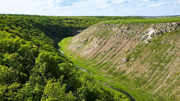 Бесплатное фото Вид с воздуха на природу в молдове узкая река, плывущая в каньоне со скалами