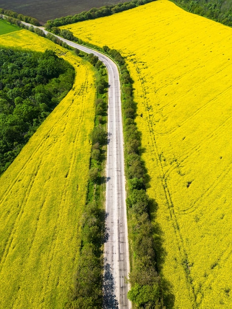 無料写真 モルドバの自然をドローン空撮 種をまいた黄色い畑を通る道路