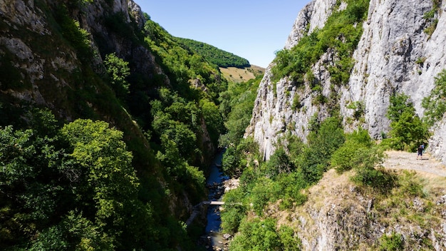 ルーマニアの岩の多い峡谷の空中ドローン ビュー
