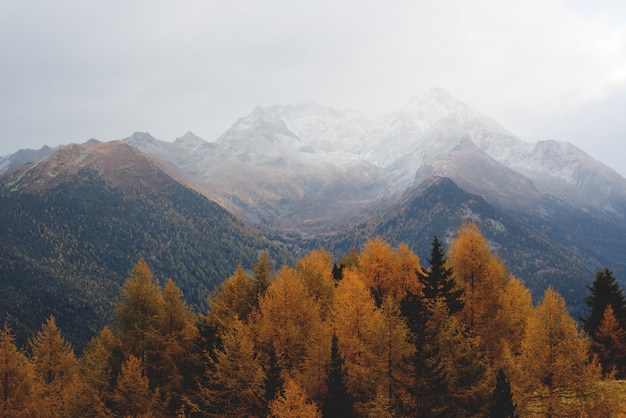 Aerial   of a Mountain