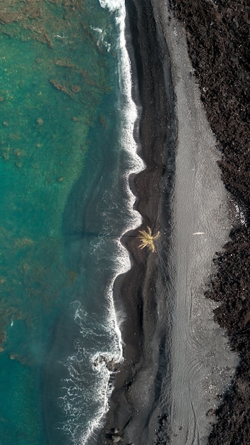 Aerial overhead vertical shot of the coastline of the sea with amazing waves and a palm tree