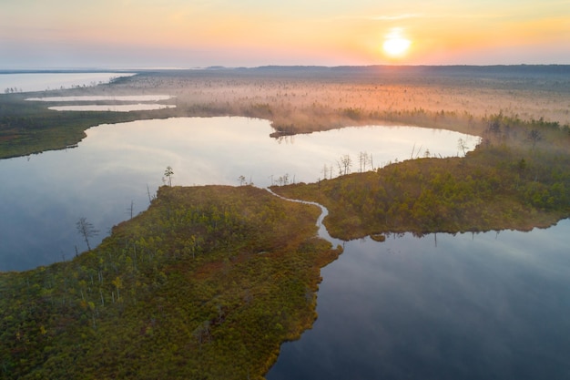 ヨーロッパ​最大​の​沼地​の​1​つ​で​ある​yelnyabogbelarus​の​航空​写真