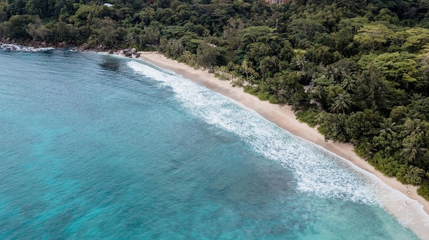 Foto gratuita fotografia aerea bellissima costa dell'oceano