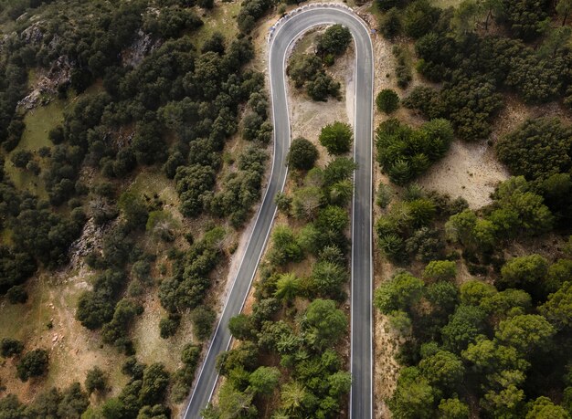 Aerial scenery view of forests