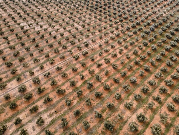 Aerial scenery view of nature