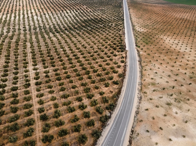 aerial scenery view of nature