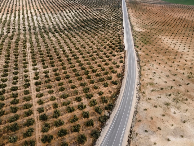 Aerial scenery view of nature