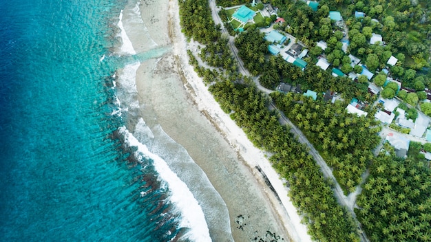 Aerial shot of the beach with the waves from the sea and the jungle of Maldives
