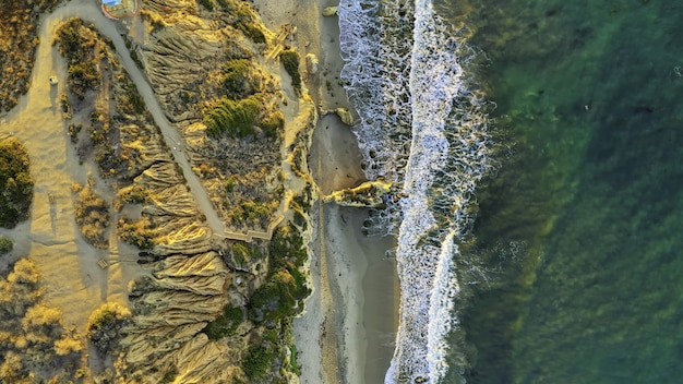 Aerial shot of a beautiful beach with sand and green trees