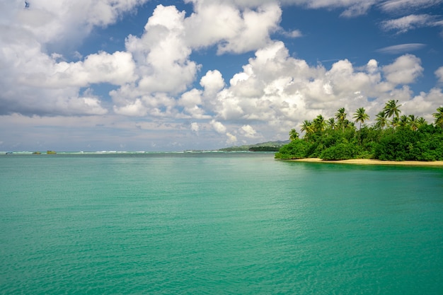 Aerial shot of a beautiful coastline covered with greenery under the sunlight