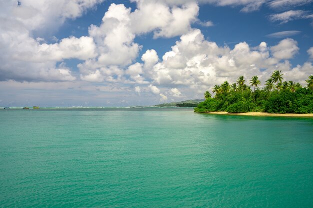 Aerial shot of a beautiful coastline covered with greenery under the sunlight