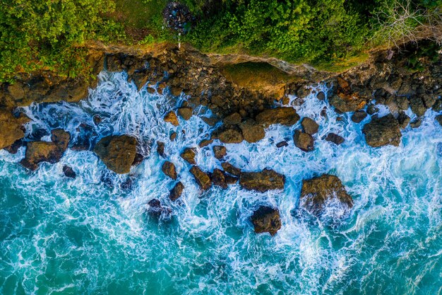 Aerial shot of a beautiful coastline covered with greenery under the sunlight