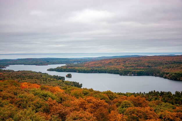 Aerial shot of a beautiful colorful forest with a lake in between under gray gloomy sky