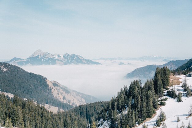 Aerial shot of a beautiful mountain range covered with snow and green fir trees