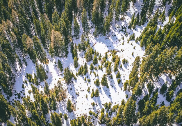 Aerial shot of a beautiful snowy forest with green tall trees in the winter