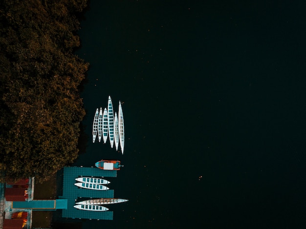 Aerial shot of boats on a dock and on the body of the ocean surrounded by trees