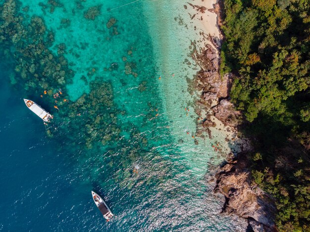 Aerial shot of boats sailing on the water near the shore covered in trees at daytime