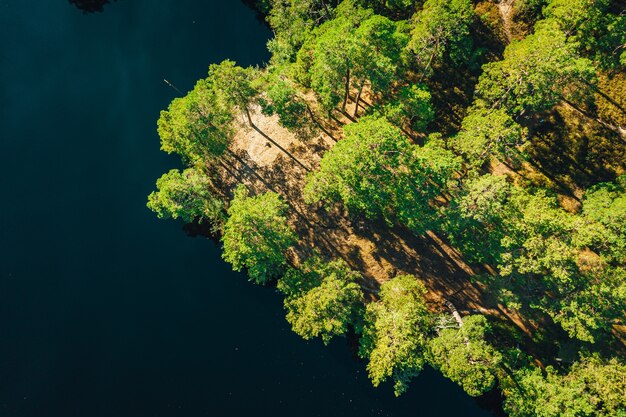 Aerial shot of a calm lake surrounded by trees