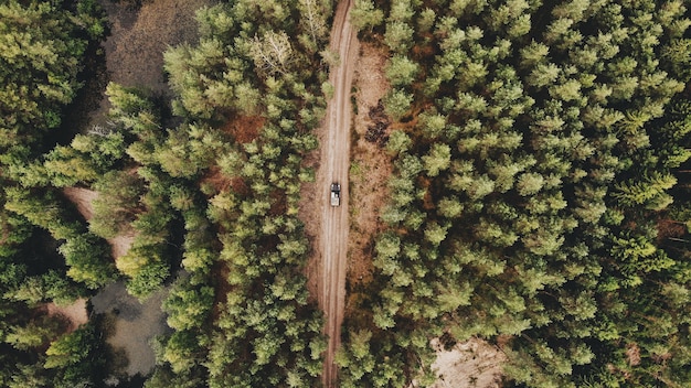 Aerial shot of a car driving on a pathway in the middle of a green forest